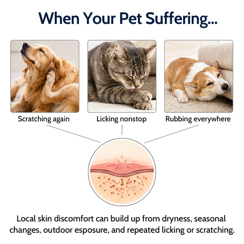 Gentle Itch & Skin Comfort Spray for Dogs & Cats