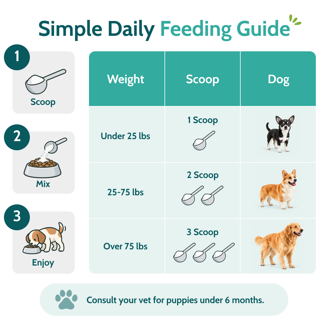 Natural Dog Dental Powder