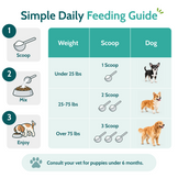 Natural Dog Dental Powder