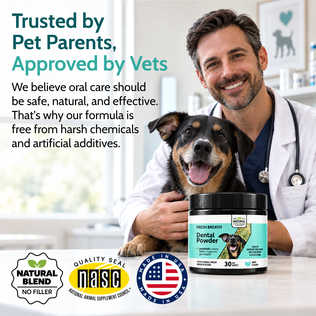 Natural Dog Dental Powder