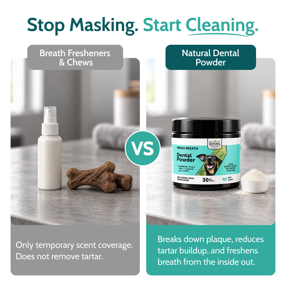 Natural Dog Dental Powder
