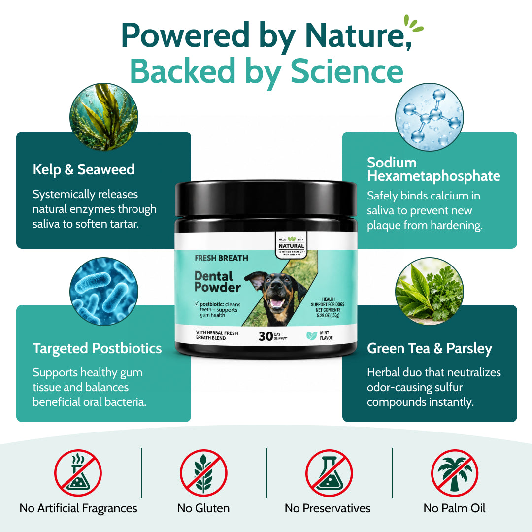 Natural Dog Dental Powder