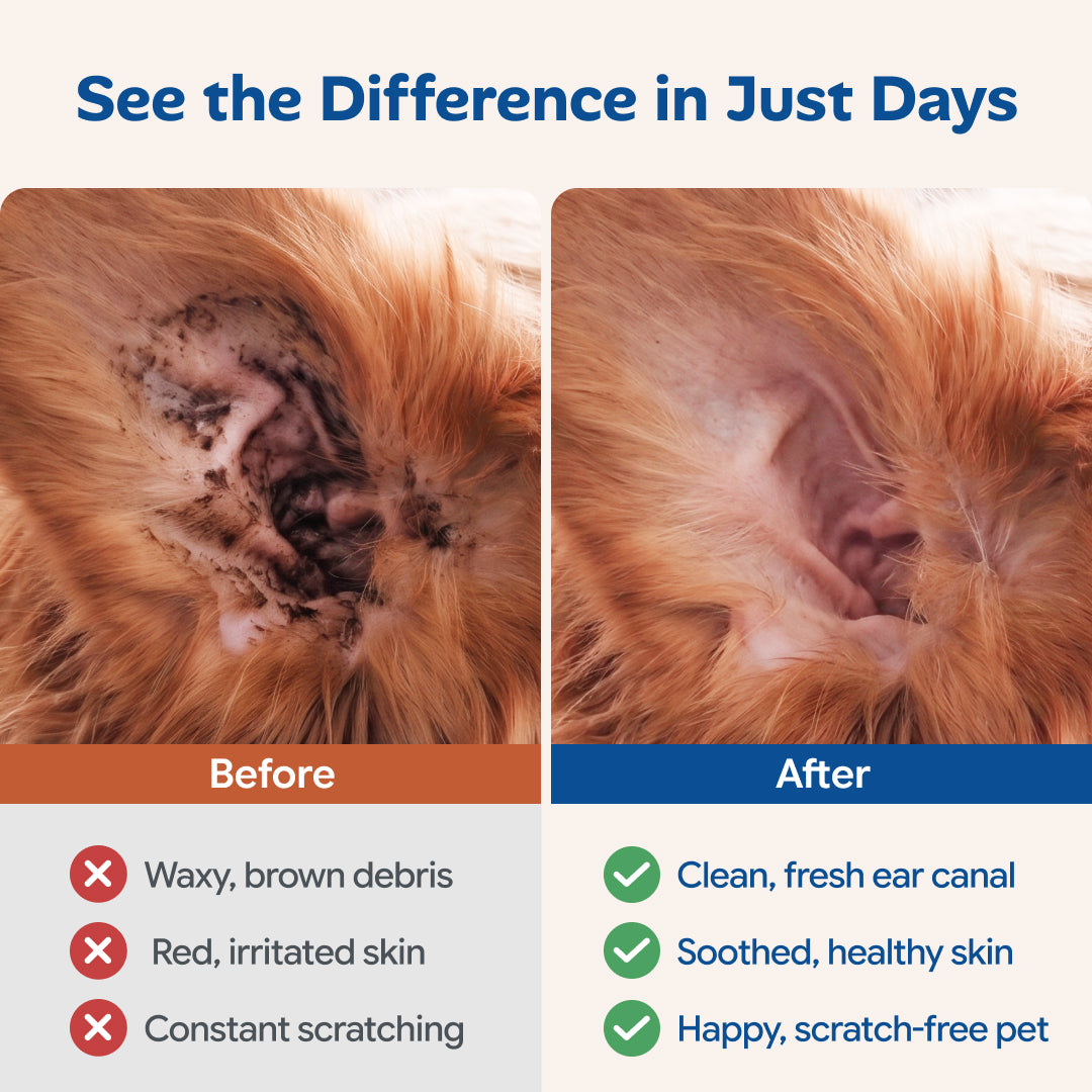 Anti-Itch & Mite Ear Drops for Dogs & Cats