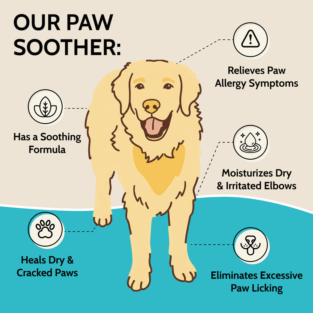 Natural Paw Balm for Dogs & Cats