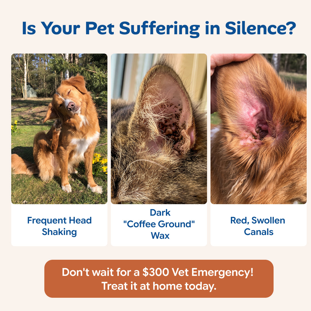 Anti-Itch & Mite Ear Drops for Dogs & Cats