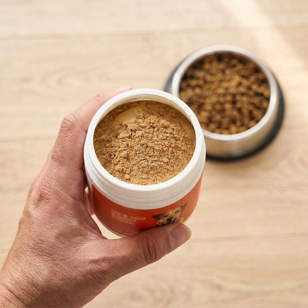 Daily Hip & Joint Powder Support to Keep Your Dog Active