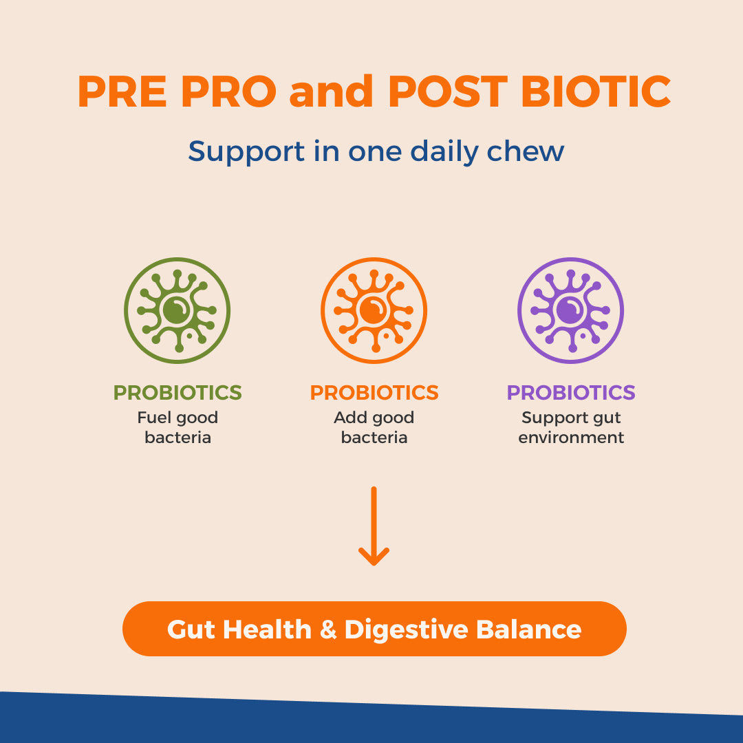 Daily Probiotic Chews for Dogs | Gut & Digestive Support