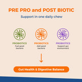 Daily Probiotic Chews for Dogs | Gut & Digestive Support