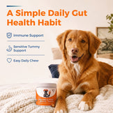 Daily Probiotic Chews for Dogs | Gut & Digestive Support
