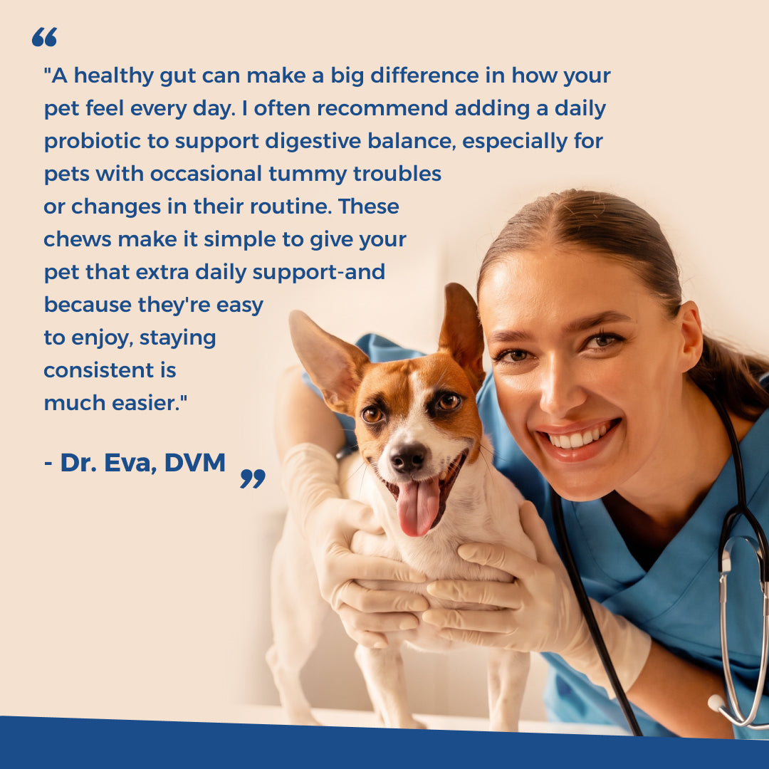 Daily Probiotic Chews for Dogs | Gut & Digestive Support