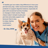 Daily Probiotic Chews for Dogs | Gut & Digestive Support