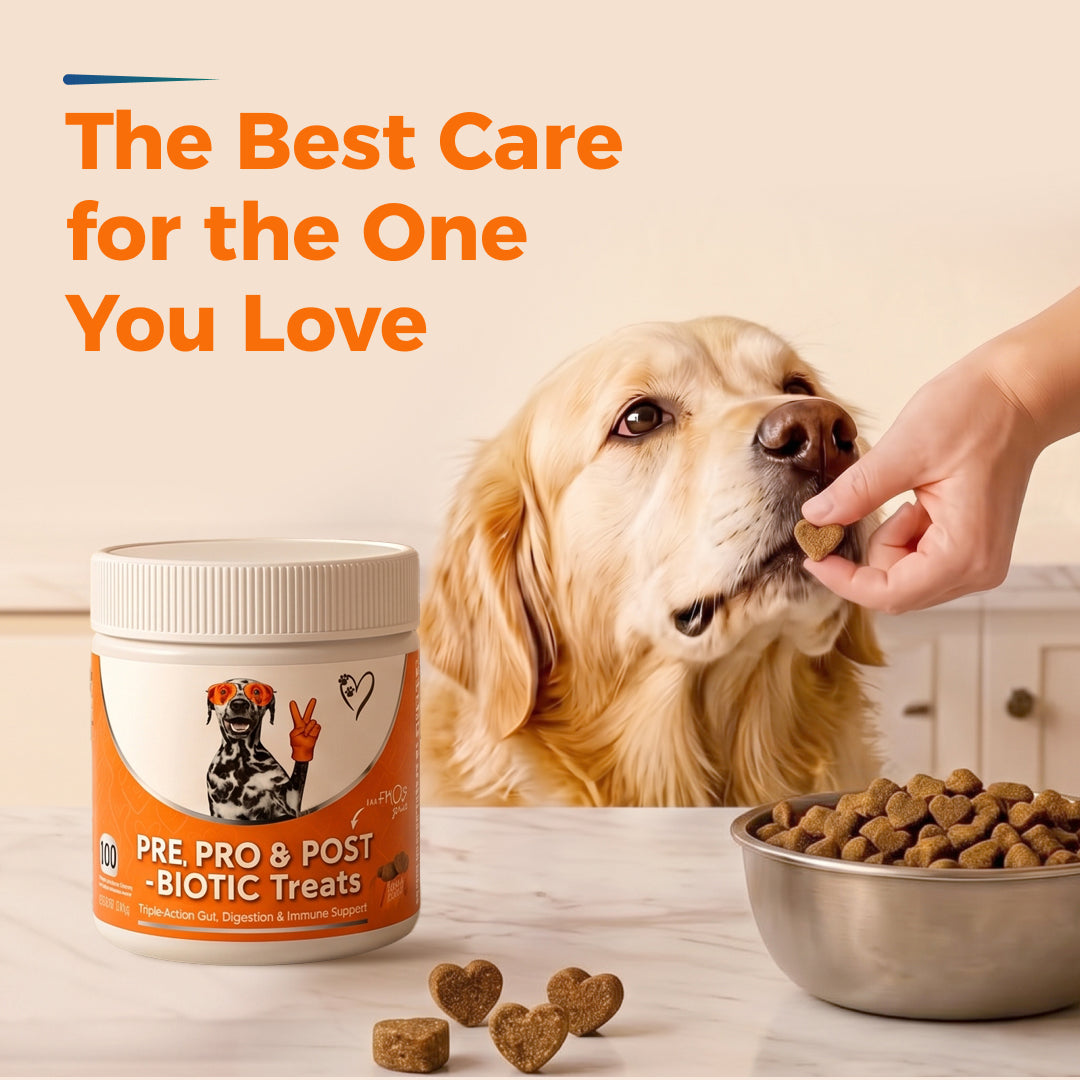 Daily Probiotic Chews for Dogs | Gut & Digestive Support