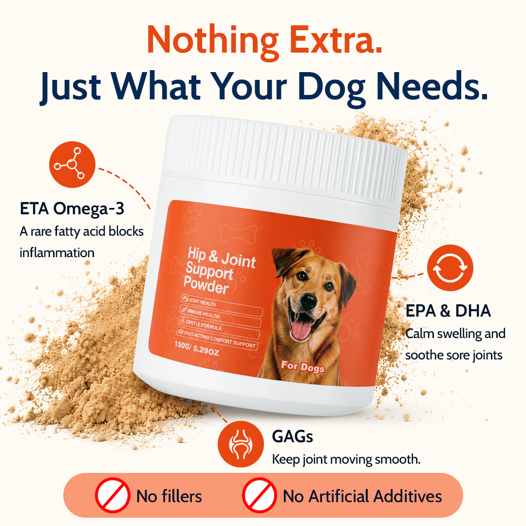 Daily Hip & Joint Powder Support to Keep Your Dog Active