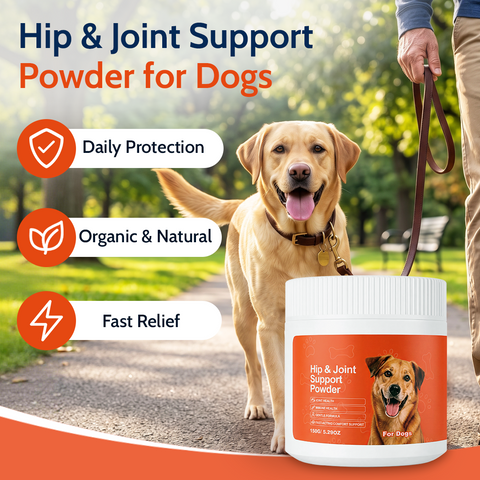 Daily Hip & Joint Powder Support to Keep Your Dog Active