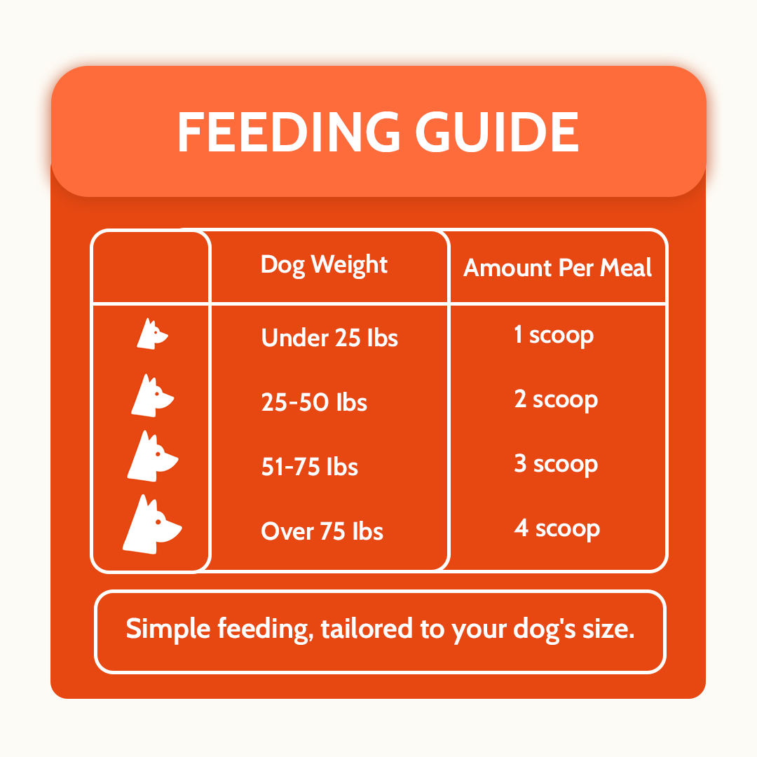 Daily Hip & Joint Powder Support to Keep Your Dog Active
