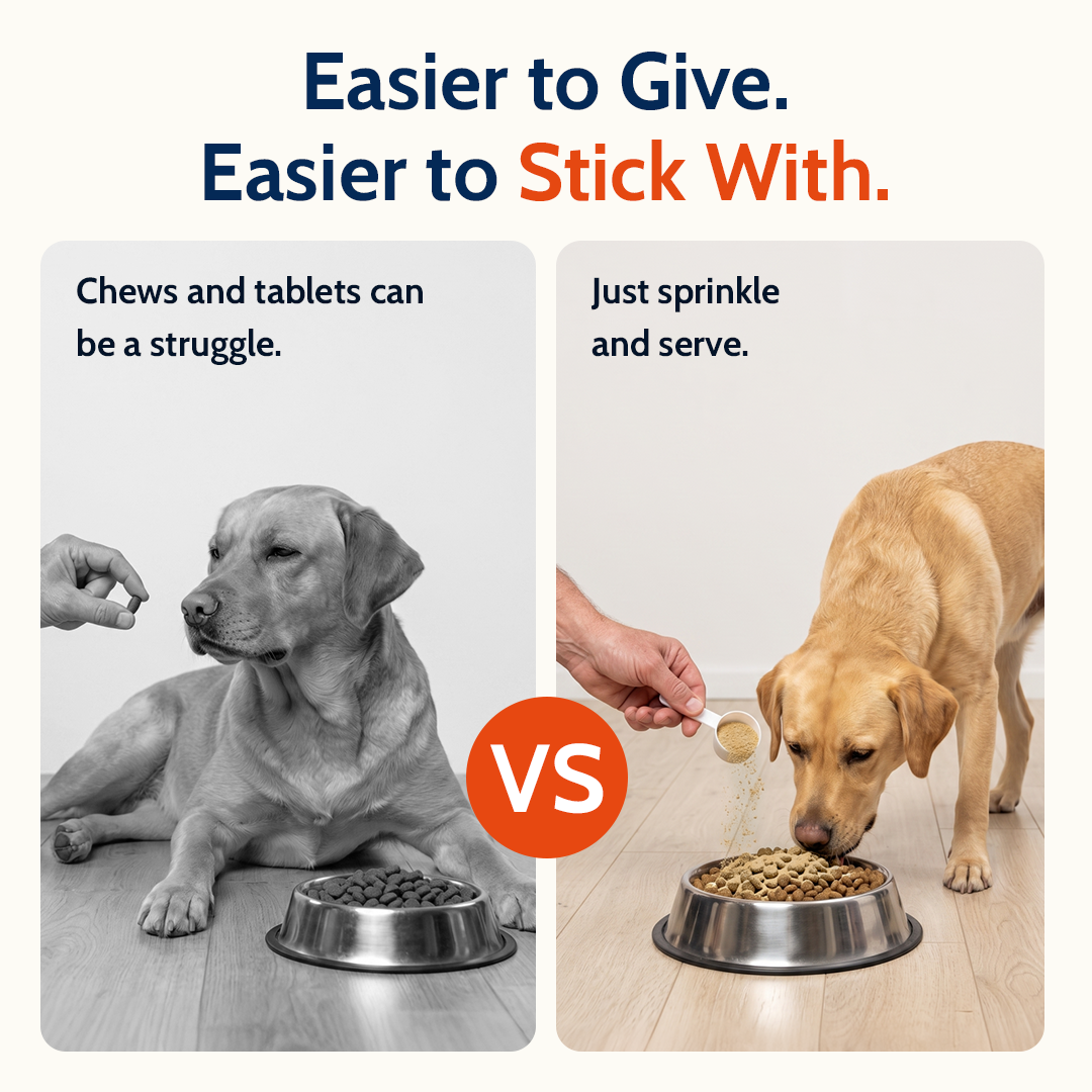Daily Hip & Joint Powder Support to Keep Your Dog Active