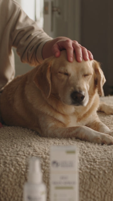 Video cover