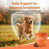 Allergy & Gut Balance Chews for Dogs