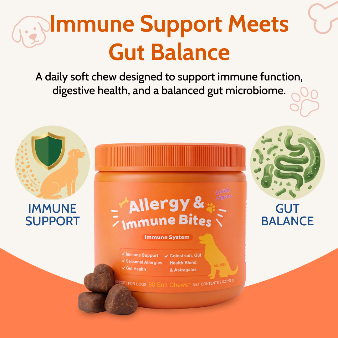 Allergy & Gut Balance Chews for Dogs
