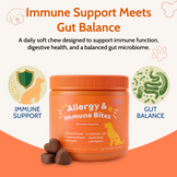 Allergy & Gut Balance Chews for Dogs