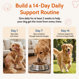 Allergy & Gut Balance Chews for Dogs