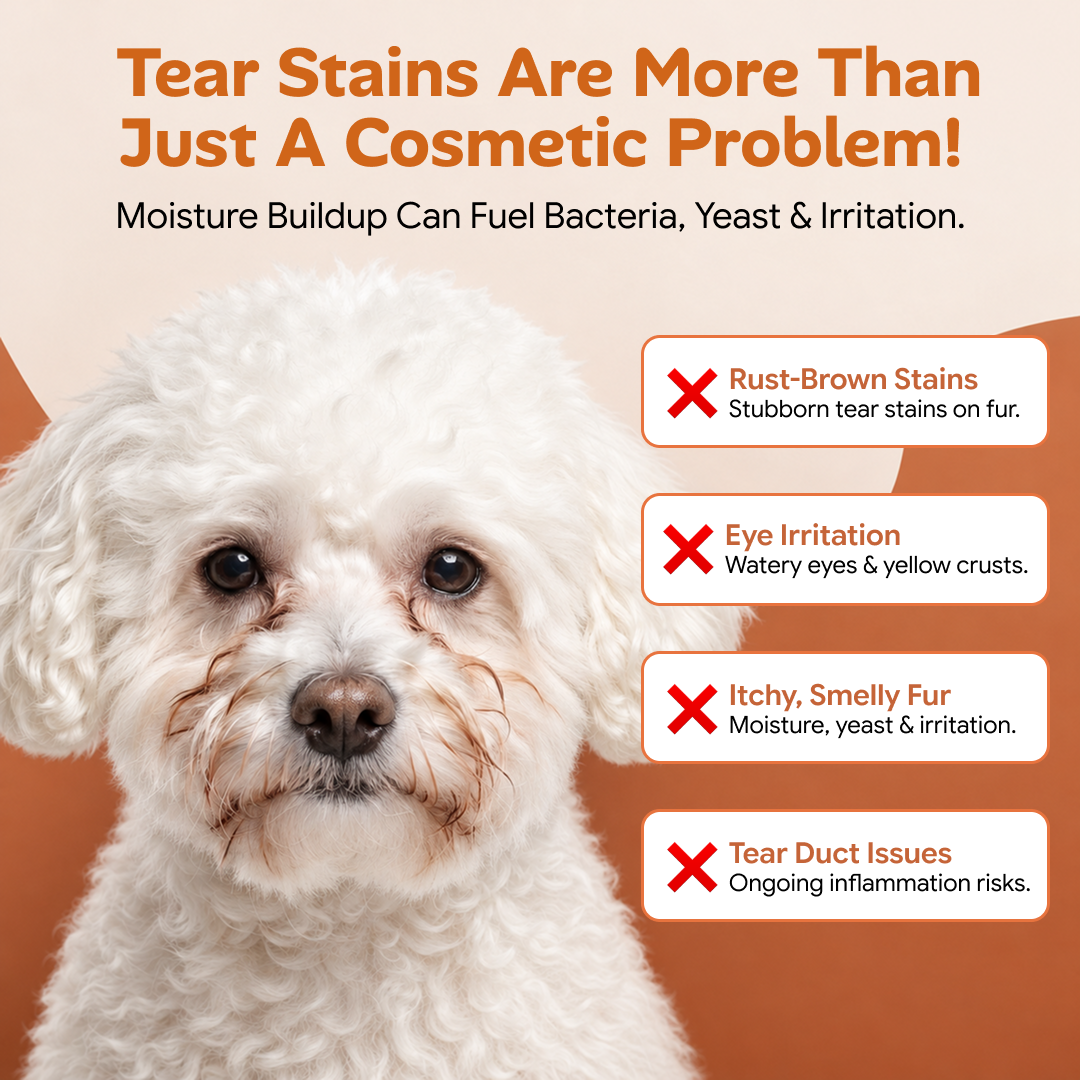 Tear Stain Remover Eye Drops for Dogs & Cats