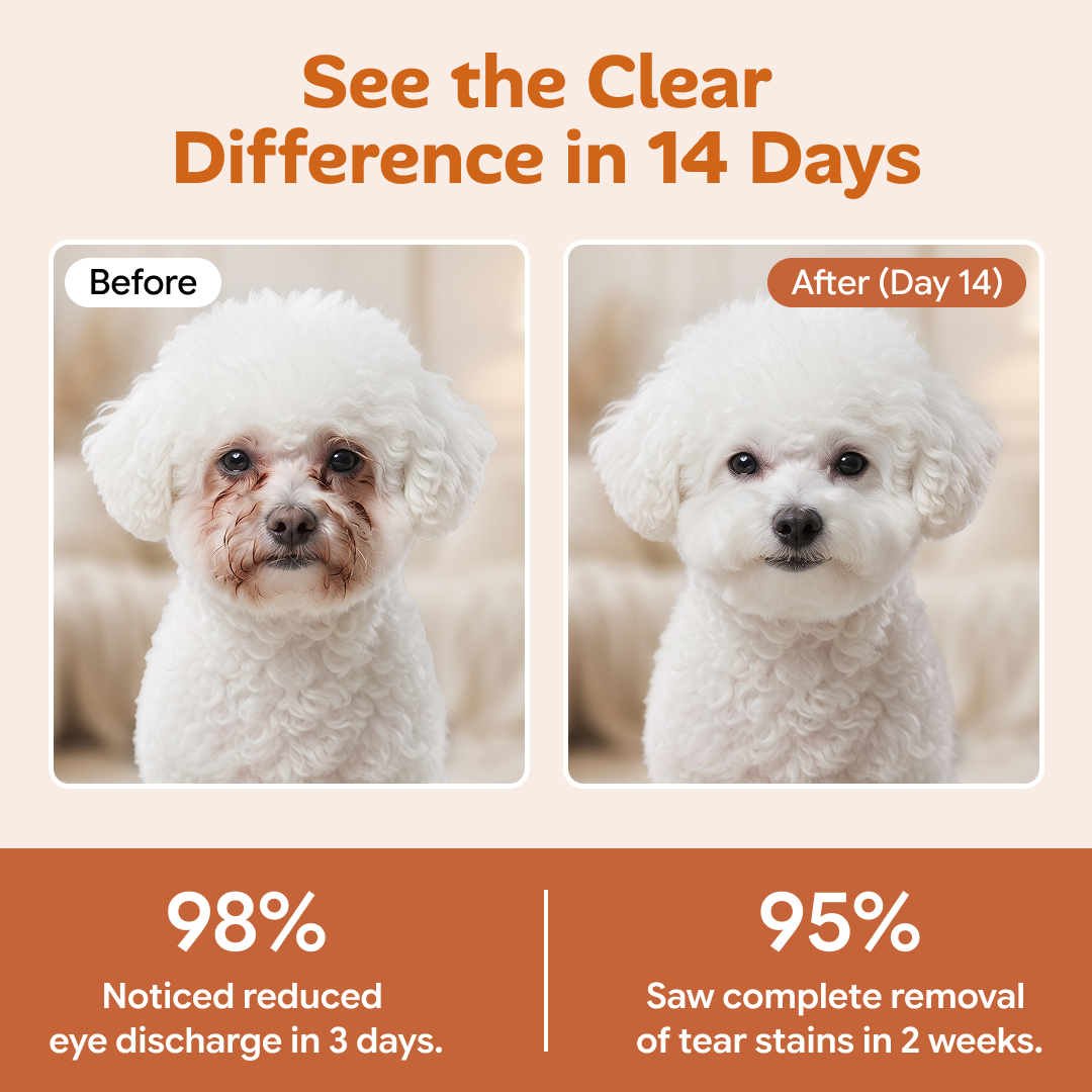 Tear Stain Remover Eye Drops for Dogs & Cats